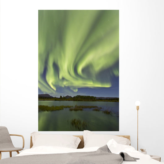 Aurora Borealis over Fish Wall Decal Design 13