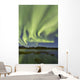 Aurora Borealis over Fish Wall Decal Design 13