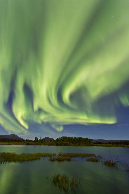 Aurora Borealis over Fish Wall Decal Design 13