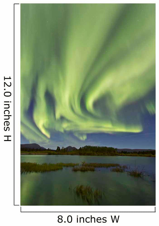 Aurora Borealis over Fish Wall Decal Design 13
