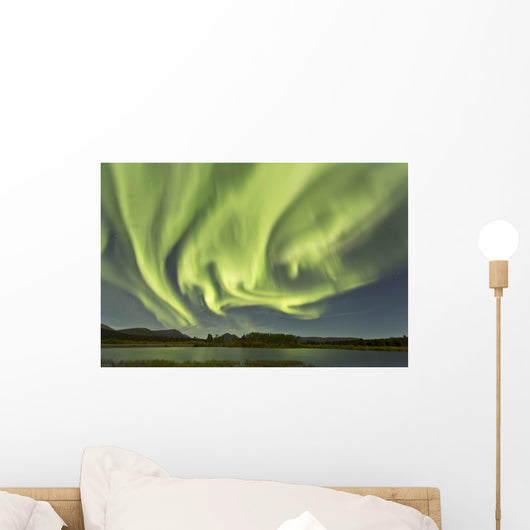 Aurora Borealis over Fish Wall Decal Design 11