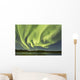 Aurora Borealis over Fish Wall Decal Design 11