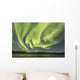 Aurora Borealis over Fish Wall Decal Design 11