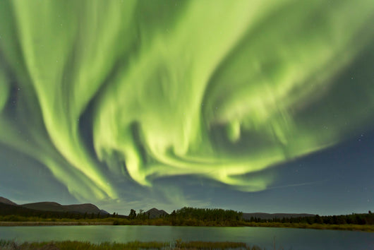 Aurora Borealis over Fish Wall Decal Design 11