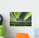 Aurora Borealis over Fish Wall Decal Design 10