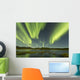 Aurora Borealis over Fish Wall Decal Design 10