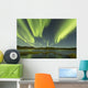 Aurora Borealis over Fish Wall Decal Design 10