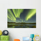 Aurora Borealis over Fish Wall Decal Design 10