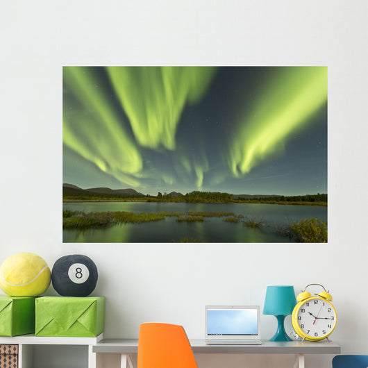 Aurora Borealis over Fish Wall Decal Design 10
