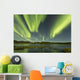Aurora Borealis over Fish Wall Decal Design 10