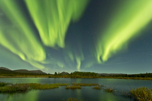 Aurora Borealis over Fish Wall Decal Design 10