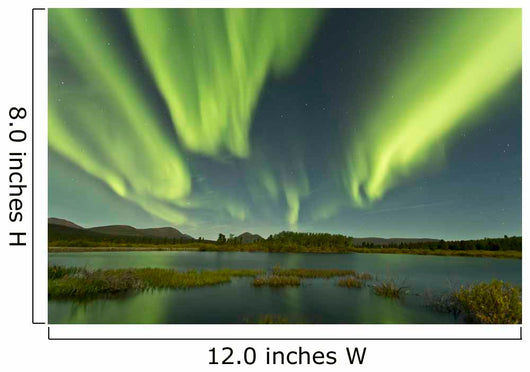 Aurora Borealis over Fish Wall Decal Design 10