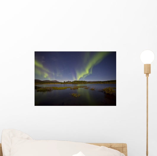 Aurora Borealis over Fish Wall Decal Design 9