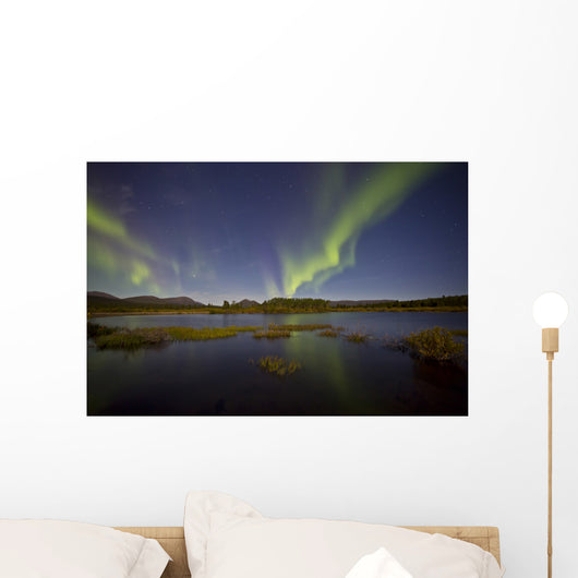Aurora Borealis over Fish Wall Decal Design 9