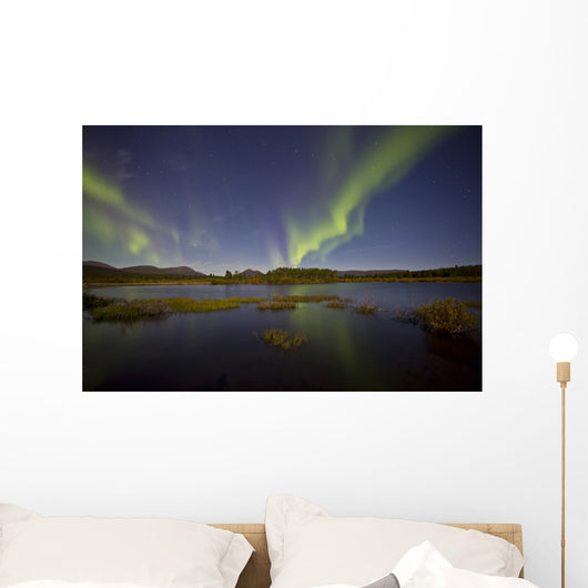 Aurora Borealis over Fish Wall Decal Design 9