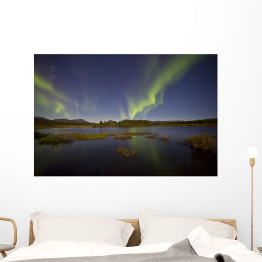 Aurora Borealis over Fish Wall Decal Design 9