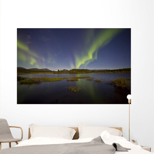 Aurora Borealis over Fish Wall Decal Design 9