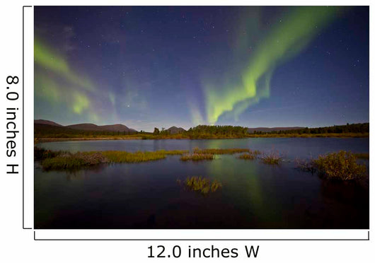 Aurora Borealis over Fish Wall Decal Design 9