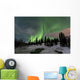Aurora Borealis over Creek Wall Decal Design 2