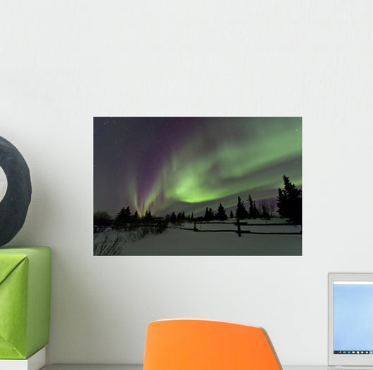 Aurora Borealis over Trees Wall Decal Design 4
