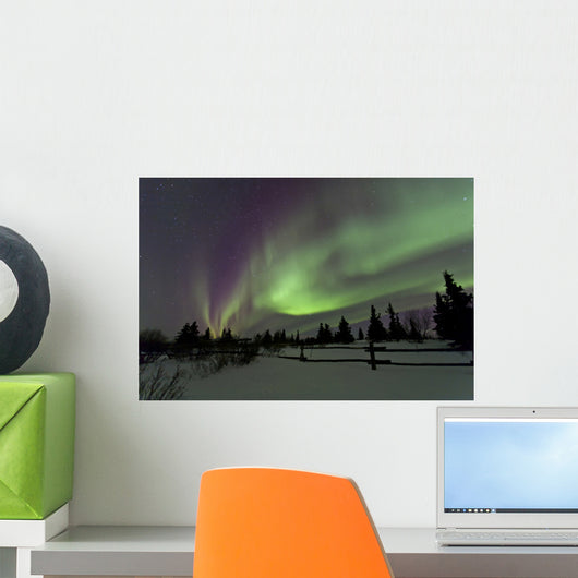 Aurora Borealis over Trees Wall Decal Design 4