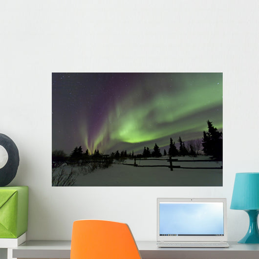 Aurora Borealis over Trees Wall Decal Design 4