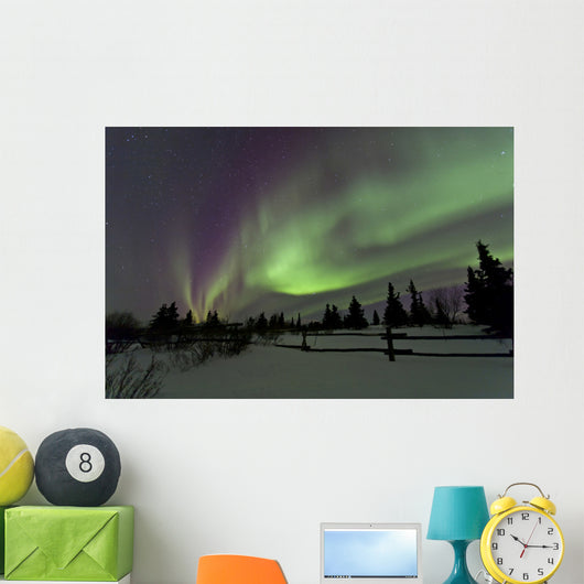 Aurora Borealis over Trees Wall Decal Design 4
