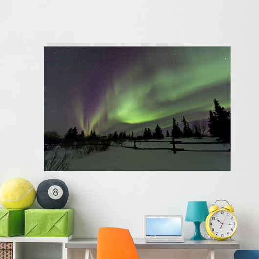 Aurora Borealis over Trees Wall Decal Design 4