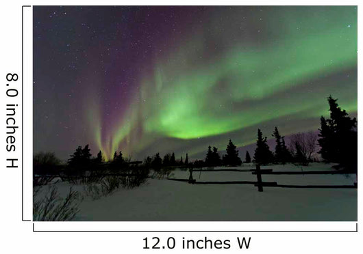 Aurora Borealis over Trees Wall Decal Design 4