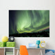 Aurora Borealis over Mountain Wall Decal Design 4