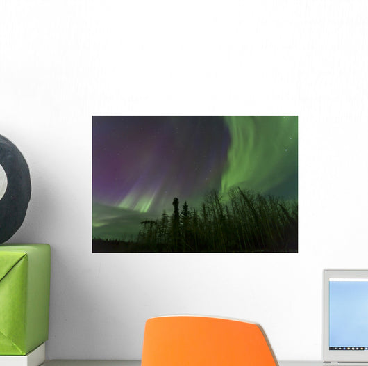 Aurora Borealis over Trees Wall Decal Design 3