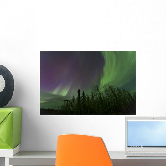 Aurora Borealis over Trees Wall Decal Design 3