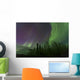 Aurora Borealis over Trees Wall Decal Design 3