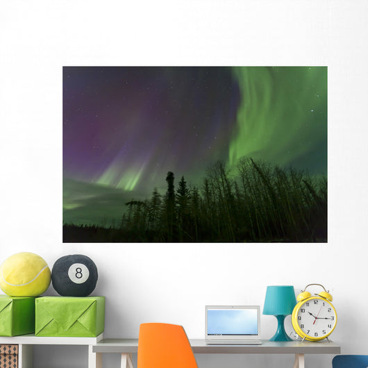 Aurora Borealis over Trees Wall Decal Design 3