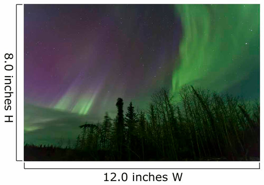 Aurora Borealis over Trees Wall Decal Design 3