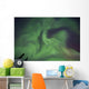 Aurora Borealis Clear Skies Wall Decal