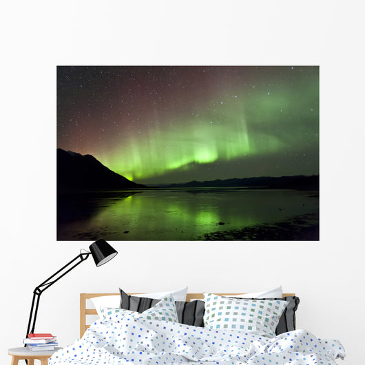 Aurora Borealis over Kluane Wall Decal