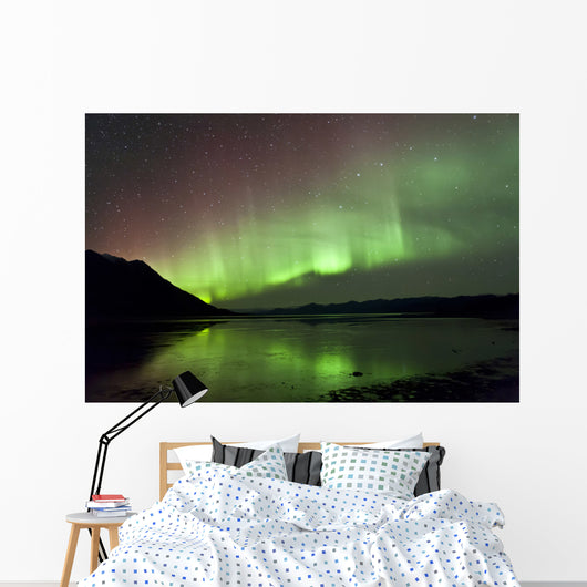 Aurora Borealis over Kluane Wall Decal