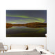 Aurora Borealis over Fish Wall Decal Design 7