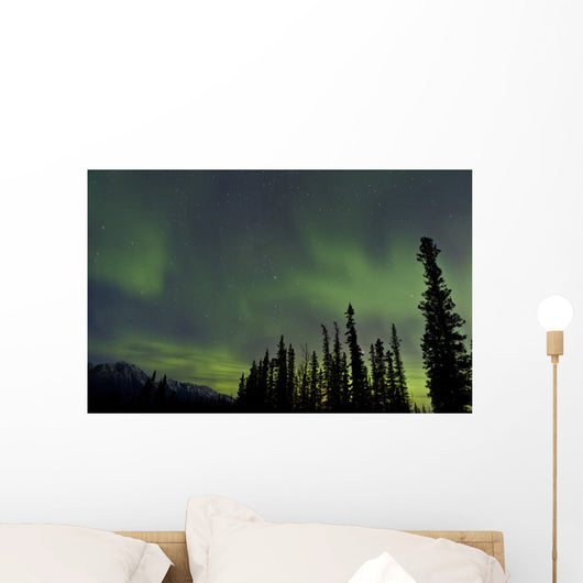 Aurora Borealis over Trees Wall Decal Design 2