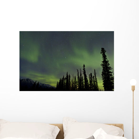 Aurora Borealis over Trees Wall Decal Design 2