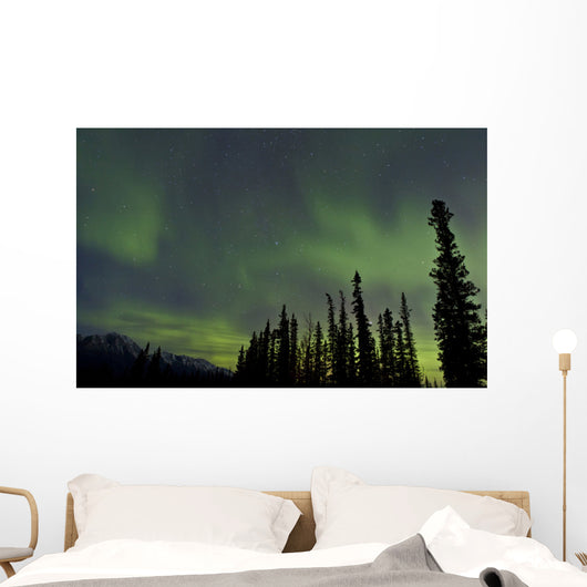 Aurora Borealis over Trees Wall Decal Design 2
