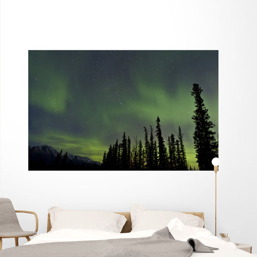 Aurora Borealis over Trees Wall Decal Design 2
