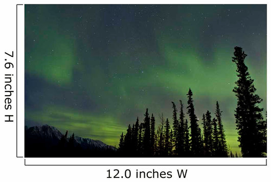 Aurora Borealis over Trees Wall Decal Design 2