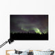 Aurora Borealis over Trees Wall Decal Design 1