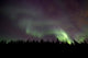 Aurora Borealis over Trees Wall Decal Design 1