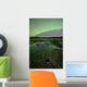 Aurora Borealis over Fish Wall Decal Design 3