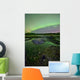 Aurora Borealis over Fish Wall Decal Design 3