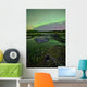 Aurora Borealis over Fish Wall Decal Design 3
