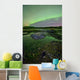 Aurora Borealis over Fish Wall Decal Design 3